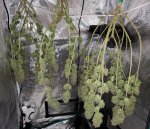 Blacklight Boo Wedding Cake2.jpg