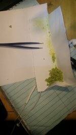 B CHEESE 2 REVERSAL.jpg