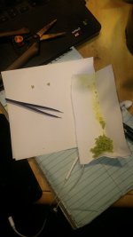 BCHEESE 2 RVERSAL.jpg