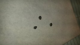 BLUE CHEESE s1 # 2 SEEDS.jpg