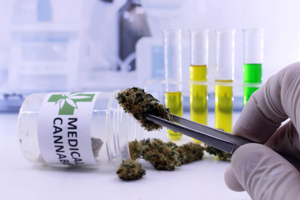  Analysis of cannabis flowers and extracts are increasingly common