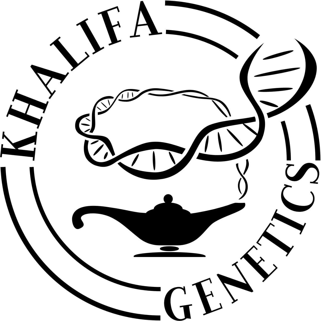 Khalifa Genetics specializes in the genetic improvement of landraces and the development of F1 hybrids