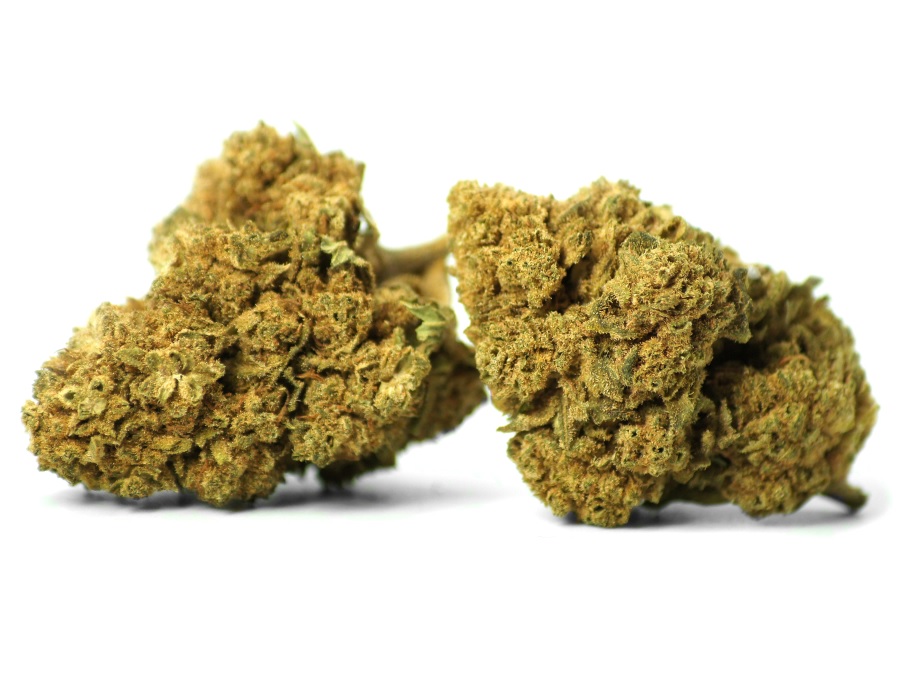 The CBD-rich flowers of Somango from Natural Suit stand out for their intense, truly penetrating aroma