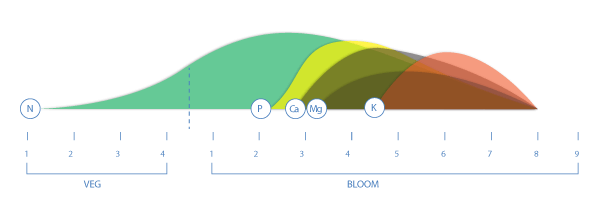 What nutrients are used throughout the plant's life?