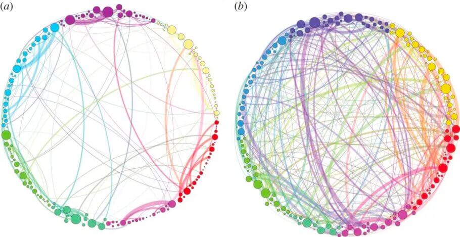 Visualization of brain connections in a person taking psilocybin (right) and someone receiving a placebo (left)