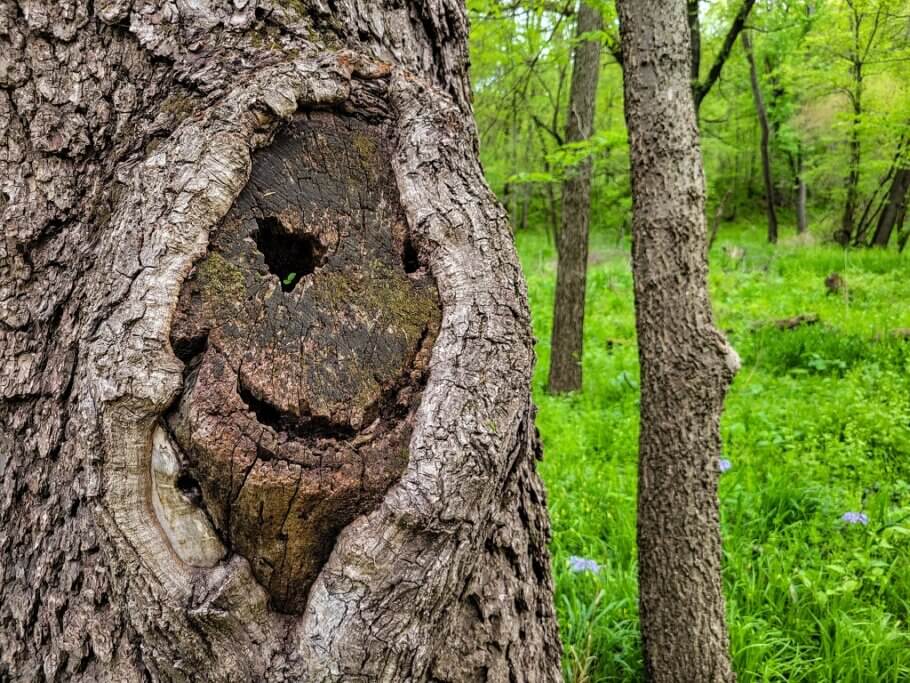 “Oh a demon face? That's interesting, thanks for showing me”