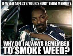 If weed affects your short term memory, why do I always remember to smoke weed?