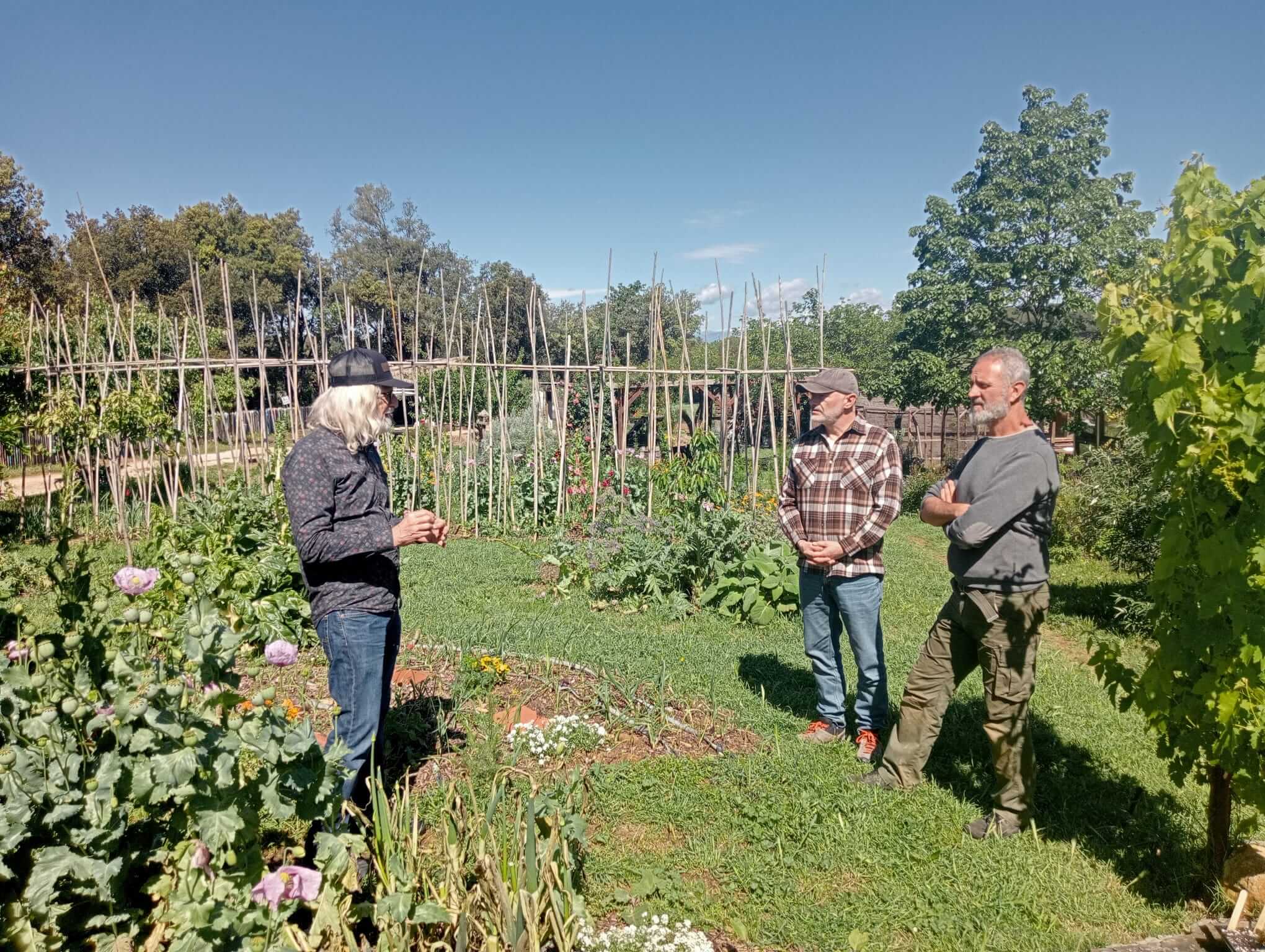 It is always an honor to talk with Jorge Cervantes