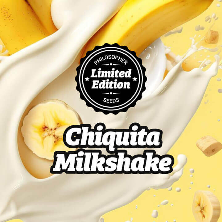  Chiquita Milkshake mixes the best of Chiquita Banana and Kush Mints