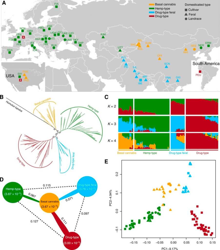 Wild plant sampling sites or country of origin of local breeds and cultivars whose samples have been analysed in the study.