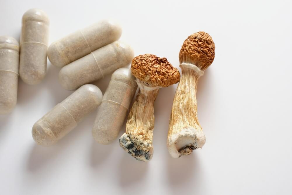 Microdosing psilocybin is an increasingly popular solution among many magic mushroom users