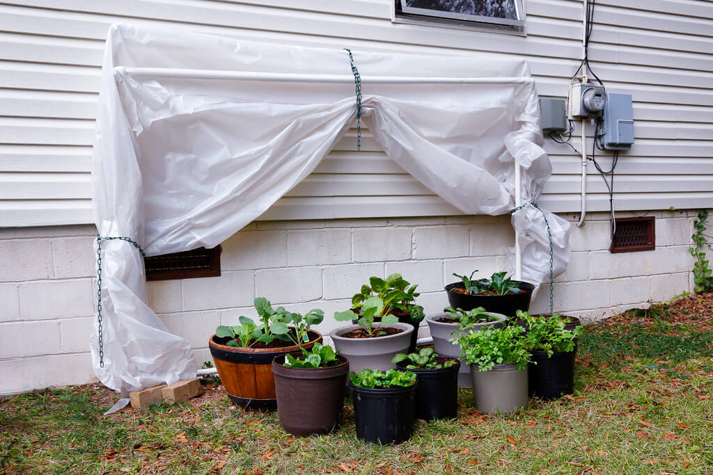 This greenhouse folds up and out of the way when your plants don't need protection from the cold.