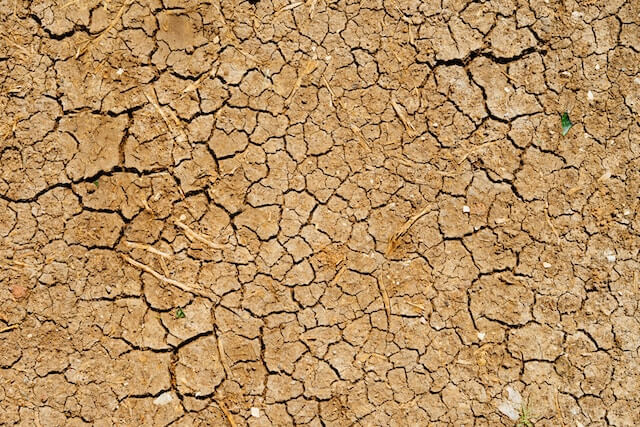 Having your mouth dry as the Mojave Desert is not uncommon if you've been using cannabis (Image: Dan Gold)