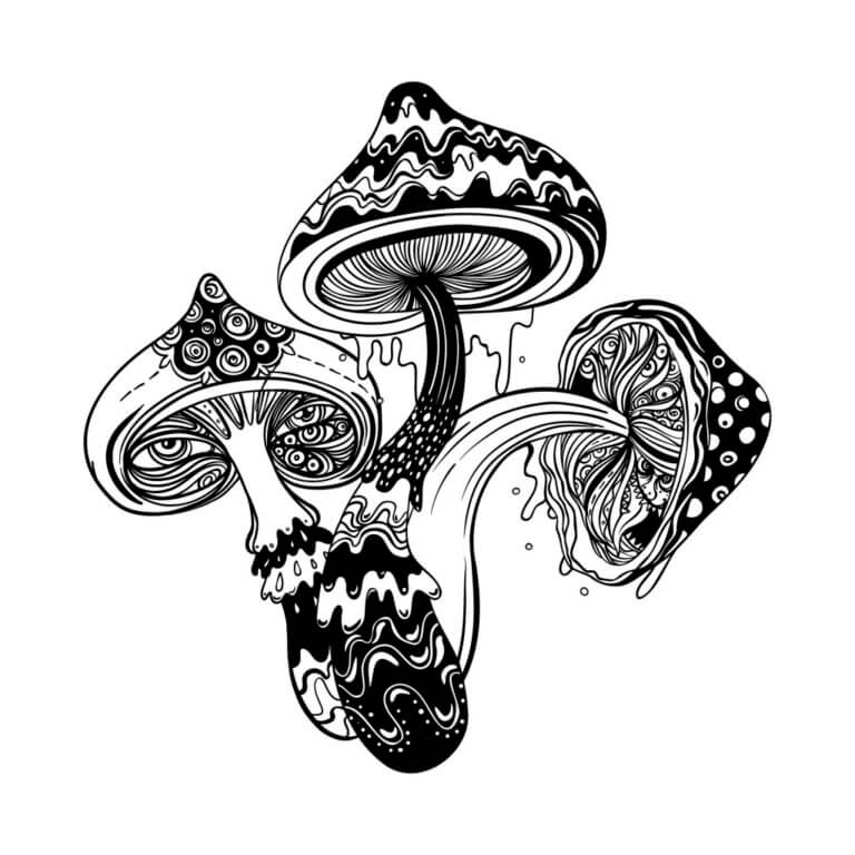 Sometimes a magic mushroom trip can be a strange, even unpleasant experience.