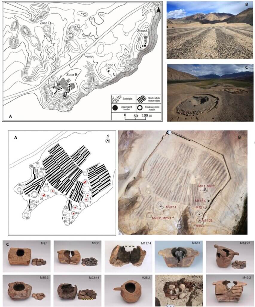 Phytochemical analyses indicate that cannabis plants were burnt in wooden braziers during mortuary ceremonies at the Jirzankal cemetery, in the eastern part of the Pamir Mountains, Central Asia (ca. 500 BC).