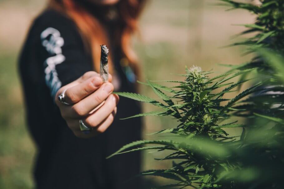 Cannabis is not the health problem, the tobacco that people mix with it is Marijuana and the lungs