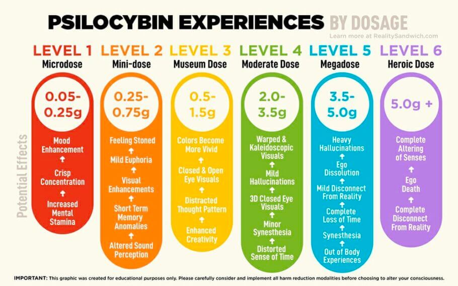 A chart showing a possible dosage of magic mushrooms, from microdose to heroic dose to bring down elephants